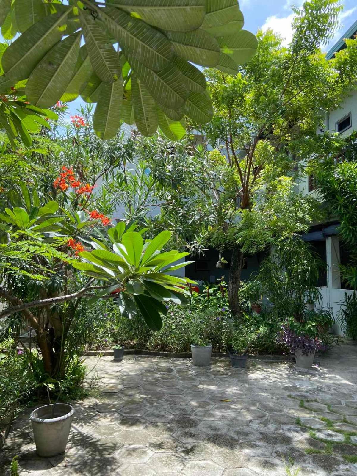 Cerulean View Residence Hanimaadhoo Island Zewnętrze zdjęcie