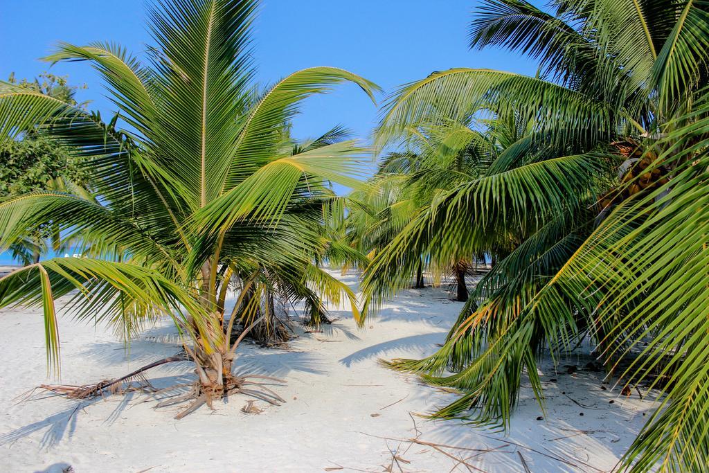 Cerulean View Residence Hanimaadhoo Island Zewnętrze zdjęcie