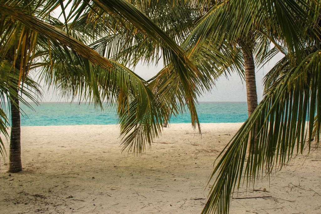 Cerulean View Residence Hanimaadhoo Island Zewnętrze zdjęcie
